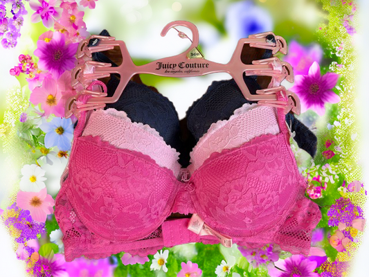 Juicy Couture Sexy Lace Push Up Bra Set